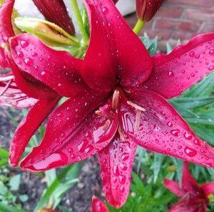 Meet your Posher, La Tasha